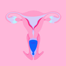 Load image into Gallery viewer, Hello Cup - High Cervix Award-Winning Menstrual Cup