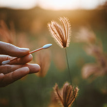 Load image into Gallery viewer, LastSwab - Reusable Ear & Makeup Swab